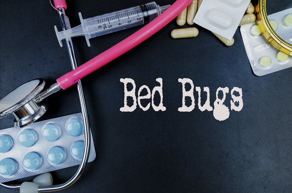 Bed Bugs Treatment in Reading, PA
