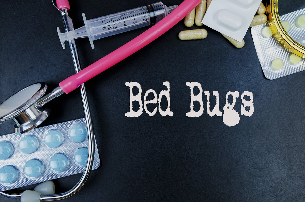 Bed Bugs Treatment in Reading, PA
